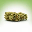 Amnésia Haze AK47 CBD : Fleur Indoor Premium | Royal Shop