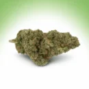 Amnesia US. CBD : Fleur Indoor 15% | Royal Shop CBD