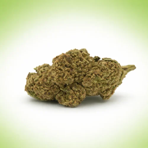 Magic Punch CBD : Fleur Hydroponique Premium | Royal Shop