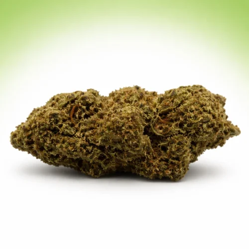 Mango TNT : Puissance Extrême (9,5/10) | Royal Shop CBD