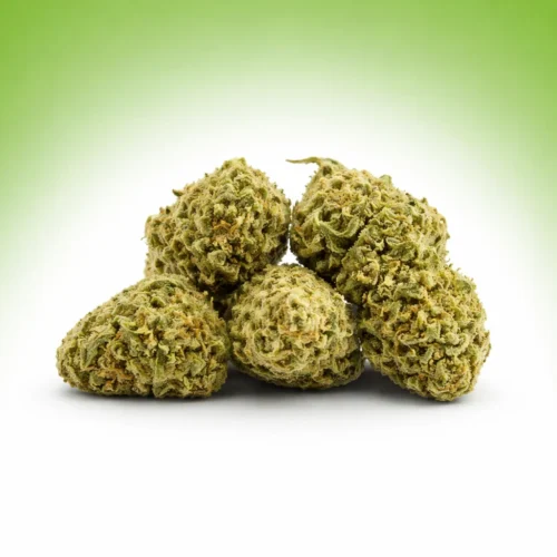 Monster CBD : Fleur Puissante & Détente Soir | Royal Shop