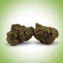 Fleur Lemon Meringue CBD | Énergie & Arômes Citronnés