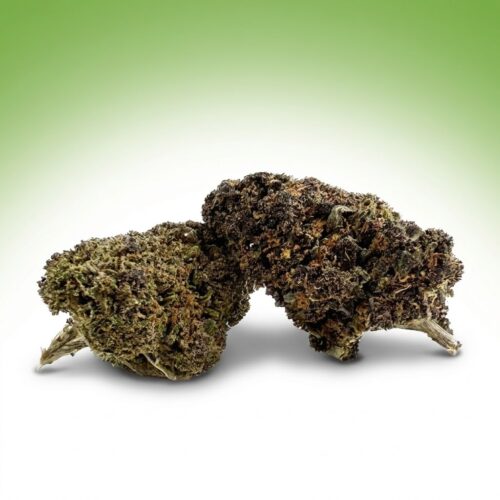 Fleur Purple Lemon TNT | CBD Acidulé & Boost Énergétique
