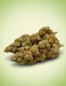 Fleur Super Lemon Haze CBD | Arômes Citronnés Vifs
