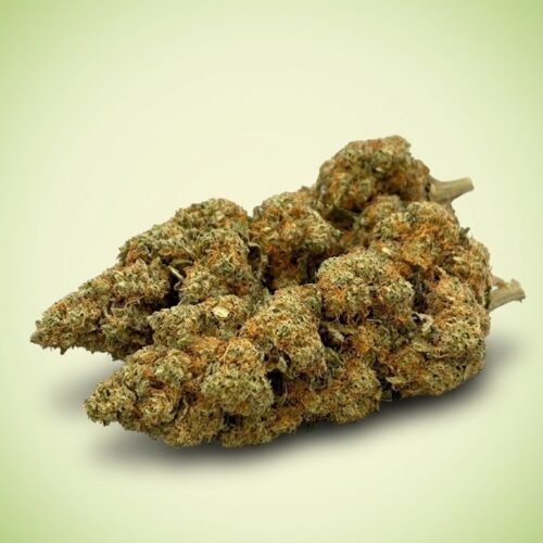 Fleur Super Lemon Haze CBD | Arômes Citronnés Vifs