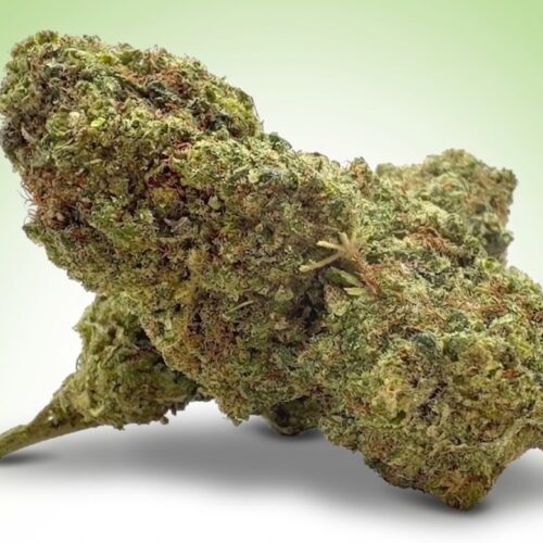 Fleur By Night TNT 50% THD | Puissance & Relaxation